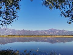 -野鸭湖国家湿地公园