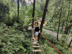 -梦幻奥陶纪景区