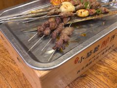 -福苗小骆驼烧烤(莲湖路店)