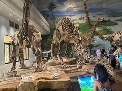 -自贡恐龙博物馆