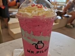-飞行喵MR PILOT|猫舍·猫咖(静安大融城店)