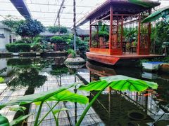 -汤山翠谷生态餐厅