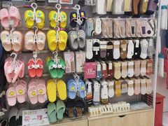-龟与熊猫宠物公园(南坪店)