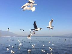 -大理无舍度假酒店