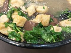 -冯鑫记南京鸭血粉丝汤(南京南站店)