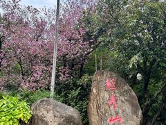 -越秀公园(地铁站)