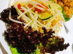 青木瓜拉沙-PHO東田越南粉(苏州中心店)
