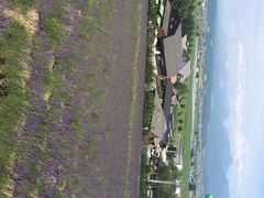 富田农场-富田农场