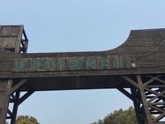 -溱湖国家湿地公园