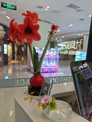 -时尚殿堂salon
