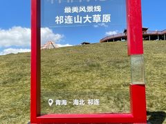 -祁连山草原