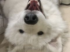 -美迦爱-牙专科·兔科·骨科诊疗中心(北苑店)