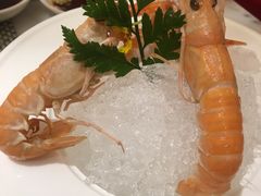 -都会尚膳·海鲜自助餐厅(重庆万豪酒店)