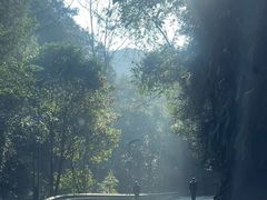 -江西阳明山国家森林公园