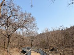 -白水寺森林公园
