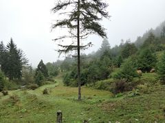 -硗碛藏寨·神木垒景区