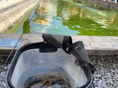 -DGE季风钓虾营地·团建·聚会