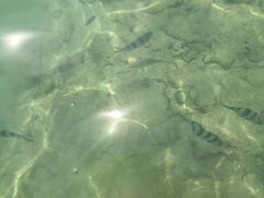 -东姑阿都拉曼海洋公园