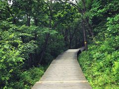 -帽儿山国家森林公园