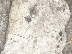 -东北人粗粮饺子坊(南山店)