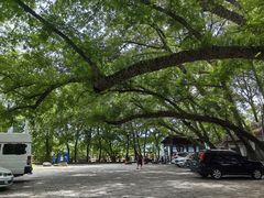 -楠溪江风景名胜区