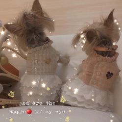 -Doria salon 小颜皮肤