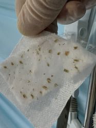 -芙贝佳禾·痘肌管理中心