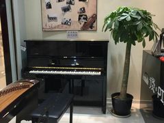 -谈·PIANO(金唐新光界店)