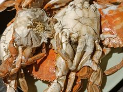 -盛江山自助料理(奥莱锦辉购物广场店)