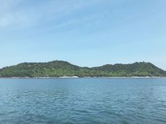 -全乐鱼馆·淳牌有机鱼直营店