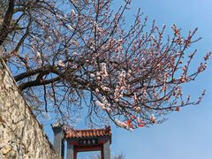 -圣莲山风景区