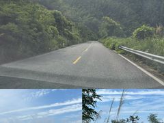 -大围山国家森林公园
