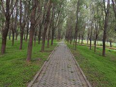 -东郊湿地公园