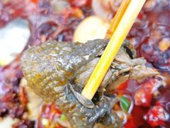 -黑竹香鸡(营和巷店)