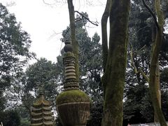 -缙云山景区