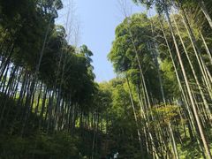 -径山寺