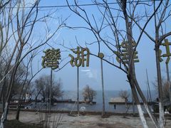 -洪泽湖湾