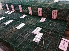 -荔城生鲜盛宴(番禺旗舰店)