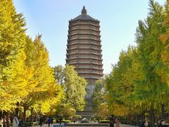 -玲珑塔公园