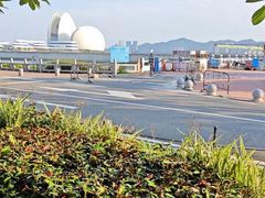 -野狸岛