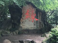 -杭州黄龙洞