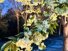 -洛阳市隋唐城遗址植物园