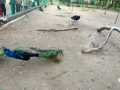 -苏州上方山国家森林公园
