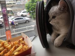 -麦当劳(中山大道中店)