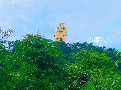 -大金鹰园
