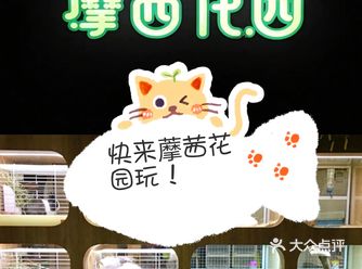 温暖舒适｜藦茜花园与动物约会｜团购更划算