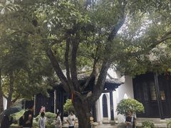 -白鹿洞书院