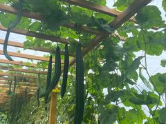 -中国天府农业博览园