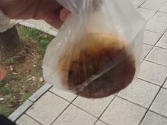 -坂田(地铁站)