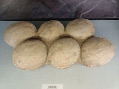 -湖南省地质博物馆